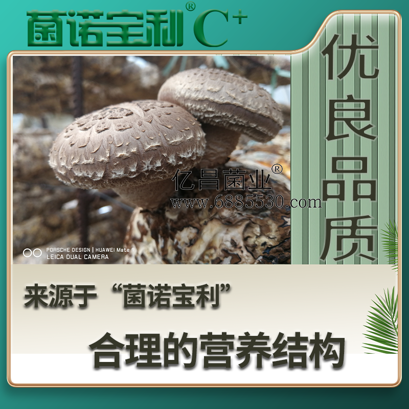 杏耀官网平台菌诺宝利C+：注水C+（网页版）PC-4（优良品质，来自于“菌诺宝利”合理的营养结构）.png