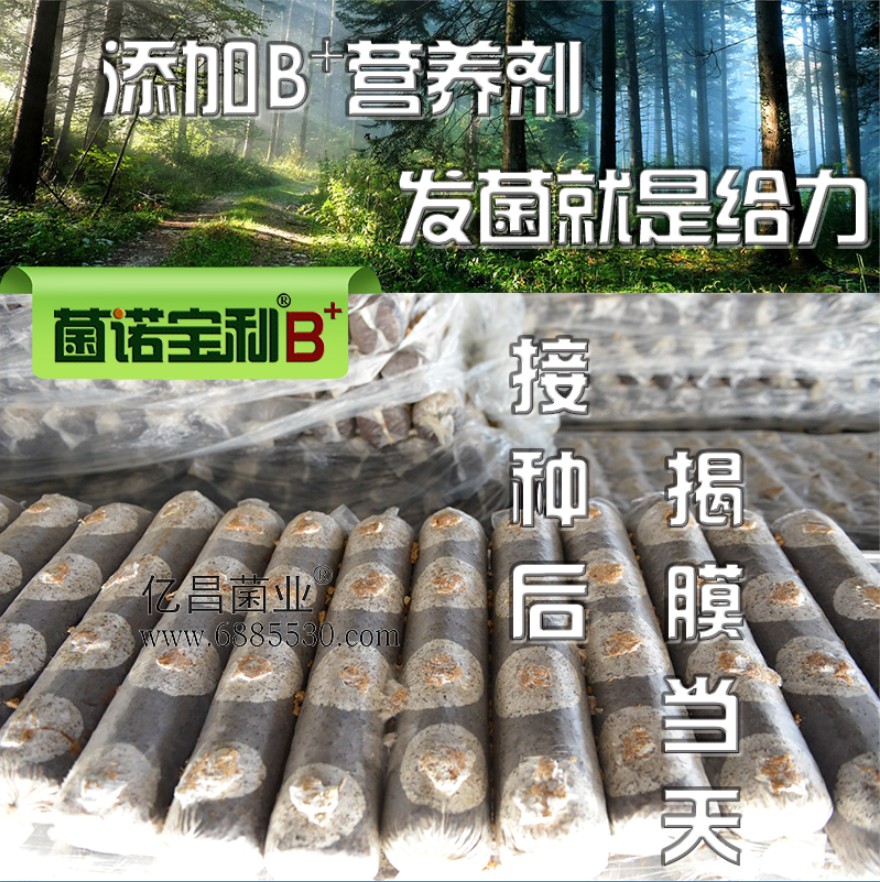 杏耀官网平台菌诺宝利B+（网页-15）添加B+营养剂，发菌就是给力