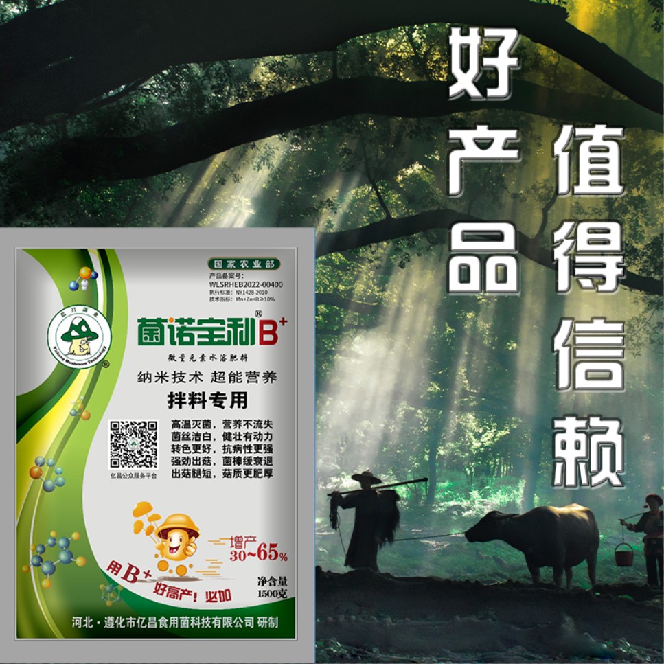 杏耀官网平台菌诺宝利B+（网页-47）好产品值得信赖